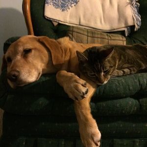 Meet your Posher, Karen